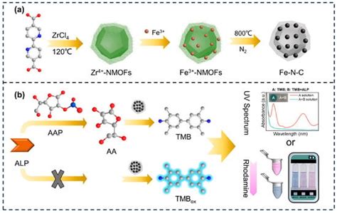 Nanomaterials Free Full Text Construction Of Metal Organic