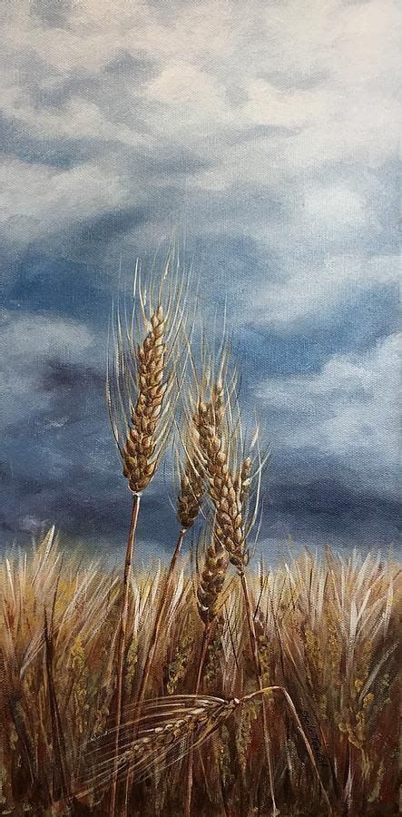 Harvest Storm By Sheila Tysdal Landscape Art Painting Sky Art Farm