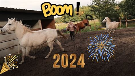 Voorbereiding Oudjaar Paarden Doodsbang Voor Vuurwerk L