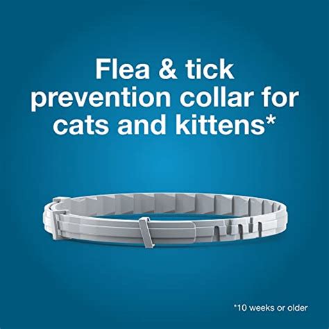 Seresto Cat Vet-Recommended Flea & Tick Treatment & Prevention Collar ...