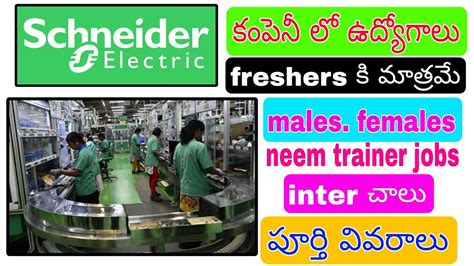 Schneider Electric Company Urgent Recruitment For Freshers Full