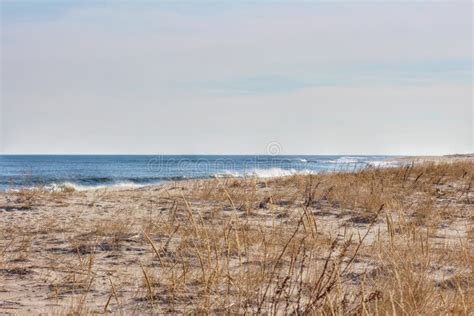 A Day at the Beach in Sandy Hook, NJ Stock Image - Image of breeze ...