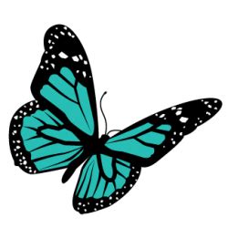 teal butterfly clipart 10 free Cliparts | Download images on Clipground ...