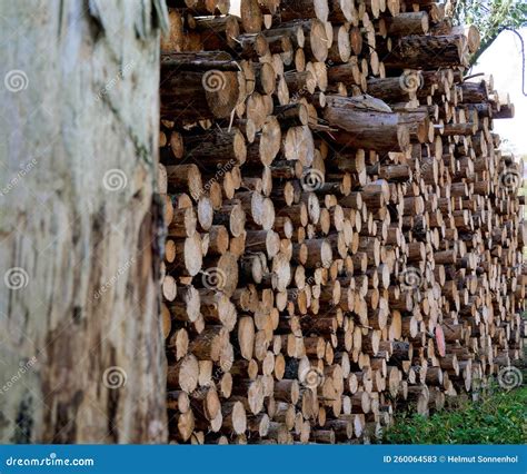 Felled Timber Log Pile In Woodland Felled Tree Trunks Stock Image