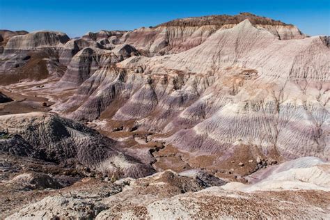 6 Best Petrified Forest National Park Hikes – Bearfoot Theory