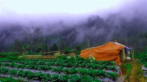 Mengunjungi Kampung Para Petani Dengan Pemandangan Alamnya Sungguh