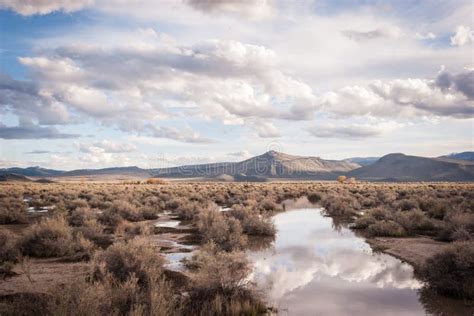 Great Basin Desert stock photo. Image of environment - 15730124