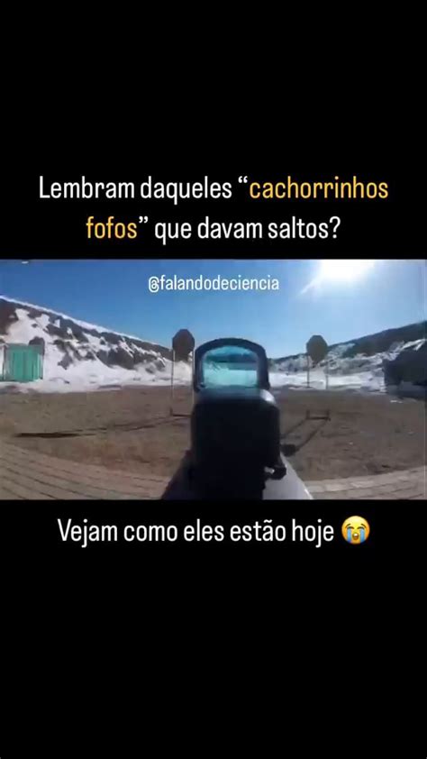 Lembram Daqueles Cachorrinhos Fofos Que Davam Saltos