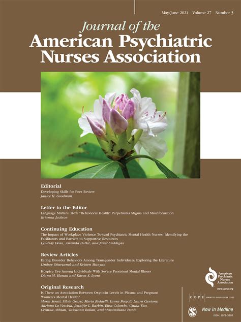 The Impact Of Workplace Violence Toward Psychiatric Mental Health Nurses Identifying The