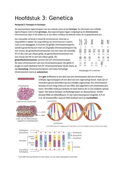 Samenvatting H3 Biologie Hoofdstuk 3 Genetica Paragraaf 1 Fenotype