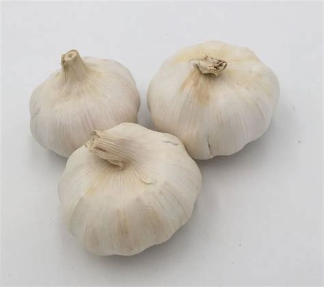 A Grade Aaa Garlic Packaging Size Kg Garlic Size Mm At