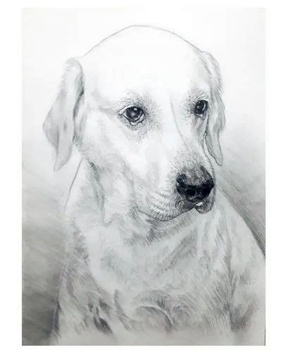 Dog Pencil Portrait Sketch at ₹ 1100/piece | Pencil Sketches in Indore | ID: 24203344155