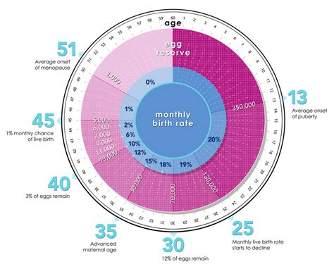 See the Fertility Clock – My Future Baby