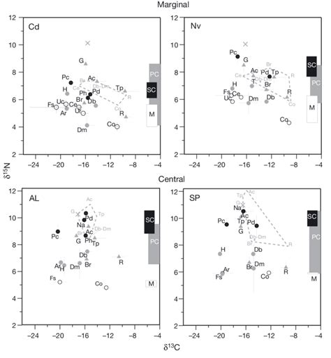 δ 13 C Versus δ 15 N Signatures Mean ± Se N 2−6 Of Organisms Download Scientific Diagram