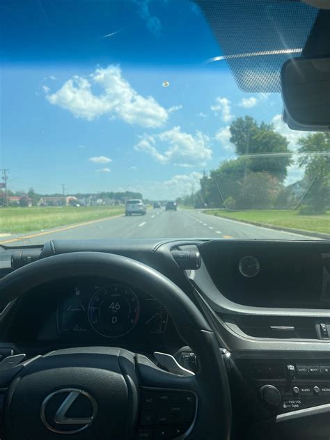 georgetown animal hospital 2