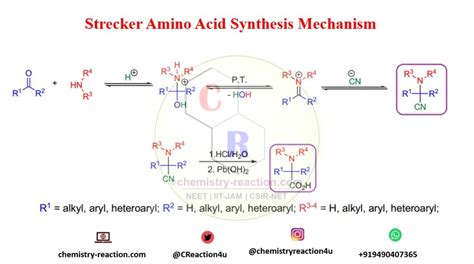 Strecker Reaction Synthesis Of Amino Acids Mechanism