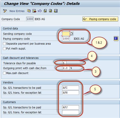 Automatic Payment Program Run F Sap Tutorial