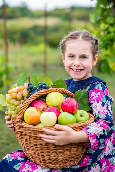 Una Ni A Con Una Cesta Con Manzanas Rojas Y Uvas Imagen De Archivo