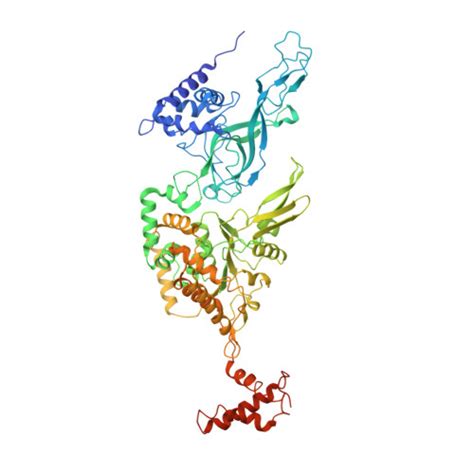 Gene Q Protein Mcm Overview Cansar Ai