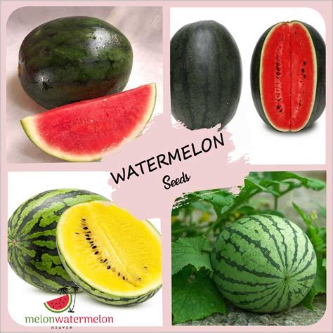 These 7 Unbelievable Watermelon Varieties Will Blow Your Mind See Jaw