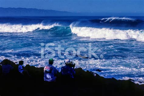 Surfing At Waimea Bay Stock Photo | Royalty-Free | FreeImages