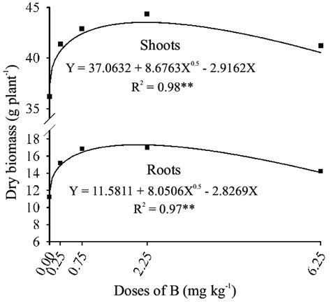 Dry Biomass Production Of Shoots And Roots In Eucalyptus Citriodora