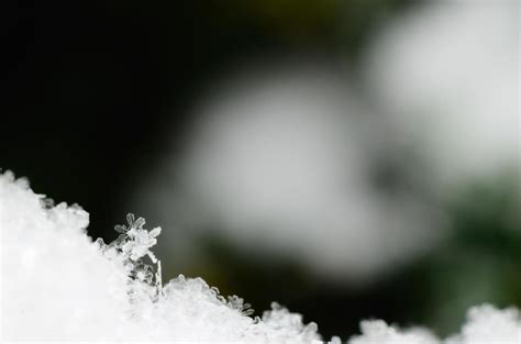 Snow Fairy Stock Photos, Images and Backgrounds for Free Download