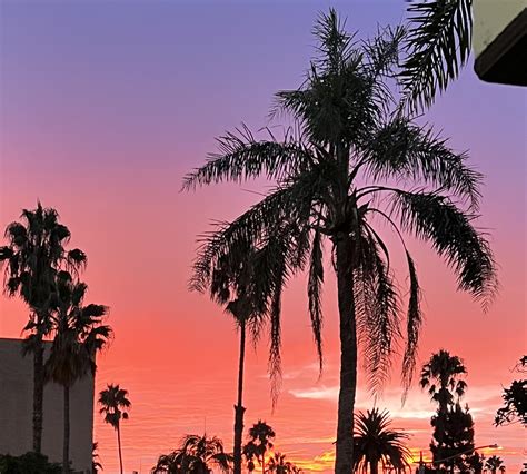 AMC theaters Marina Pacifica 12 renovations will offer more luxury 6