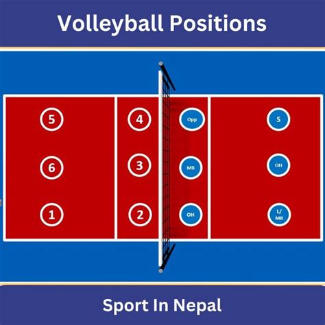 Volleyball Positions Volleyball Court Positions What Are The