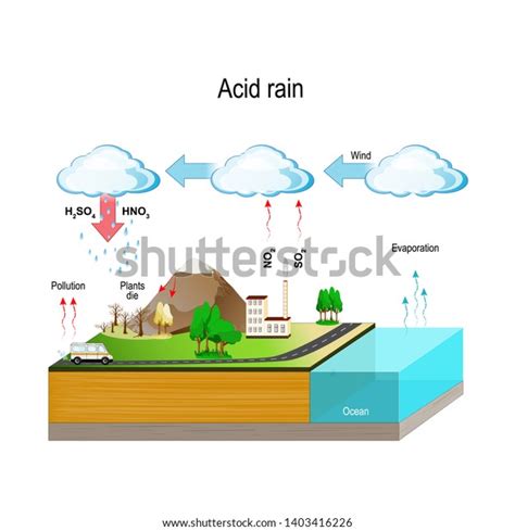 7.567 Acid Rain Images, Stock Photos, 3D objects, & Vectors | Shutterstock