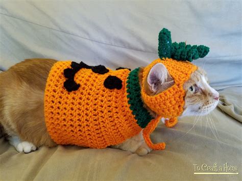 Pumpkin Cat Costume/Sweater with or without pumpkin hat | Etsy