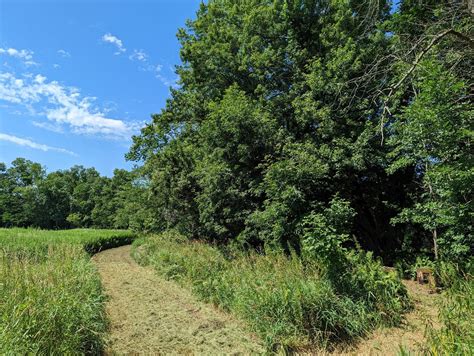 Trails Are In Good Shape — Gardiner Trail Alliance