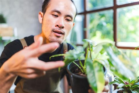 Joven Cultivando Una Planta En Hobby En Casa Estilo De Vida De Persona