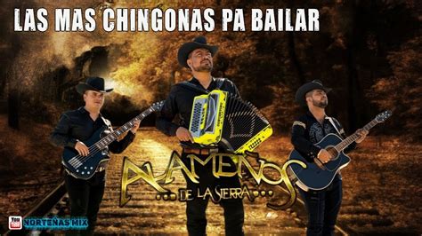 Popurri de Cumbias MIX Alameños de La Sierra Las Mas Chingonas Pa