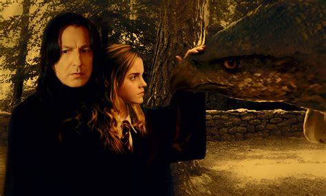 Severus & Hermione - Hermione & Severus Fan Art (7086750) - Fanpop