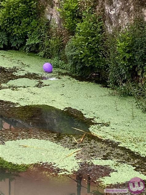 Iowebbo Isola Del Liri Fiume Verde E Senza Depuratore