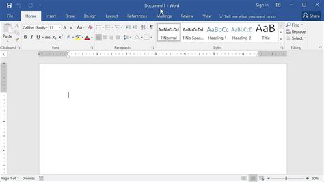 Microsoft Word