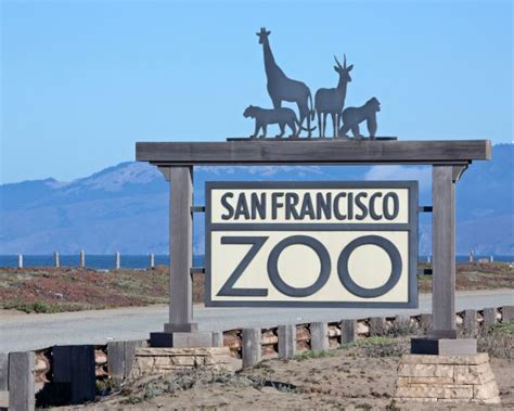 San Francisco Zoo - All You Need to Know Before You Go - TripAdvisor