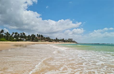 Praia Da Gar A Torta Em Macei Alagoas