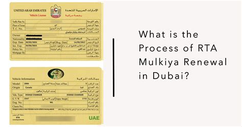 Mulkiya Renewal In Dubai And The UAE Your Mulkiya Card Guide