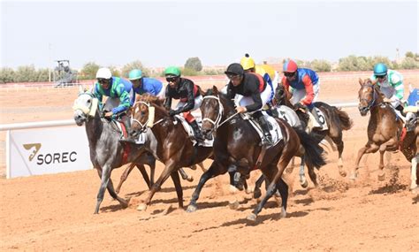 Courses De Chevaux Le Pur Sang Arabe Lhonneur Lhippodrome De