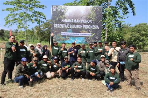 Mitigasi Perubahan Iklim Batang Pohon Ditanam Di Halmahera Barat