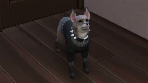 The sims 4 cats and dogs cc - taiasure