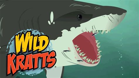 Wild Kratts The Great White Shark Nature Youtube