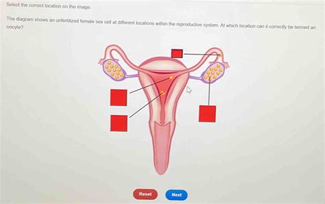 Solved Select The Correct Location On The Image The Diagra Algebra