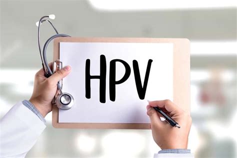 Hpv O Que Sintomas Causas Tratamentos Vacina E Mais