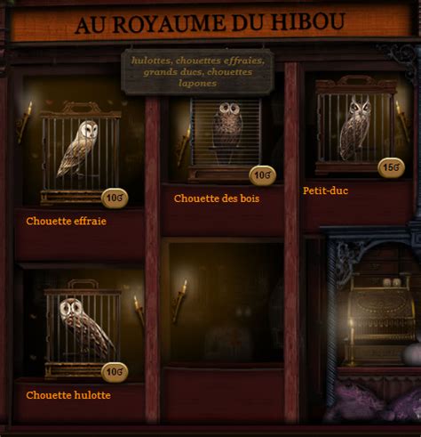 Au Royaume Du Hibou Wiki Pottermore Informations Fandom