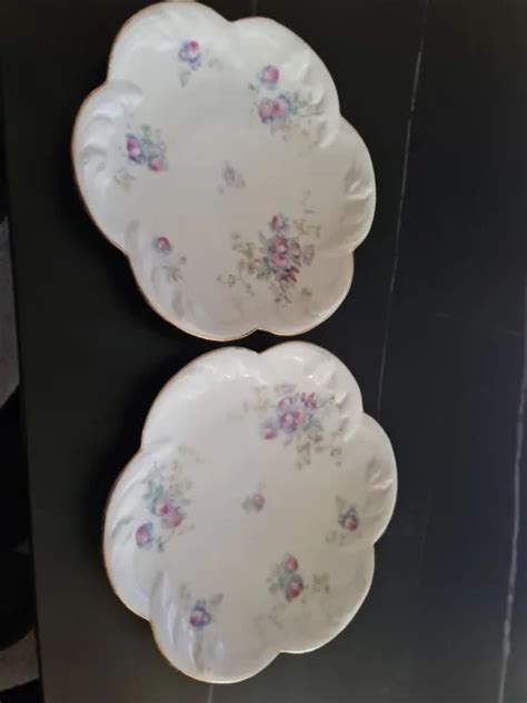 Lot De Assiettes En Porcelaine Limoges Avec Fleurs Tres Ancienne Eur