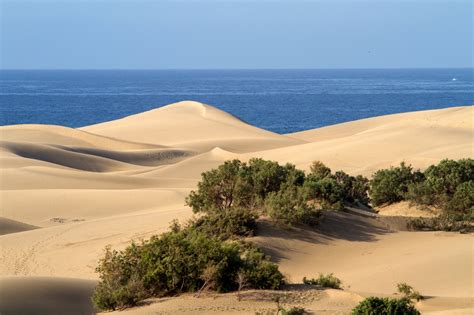 Fotos Gratis Playa Paisaje Mar Costa Desierto Duna Material