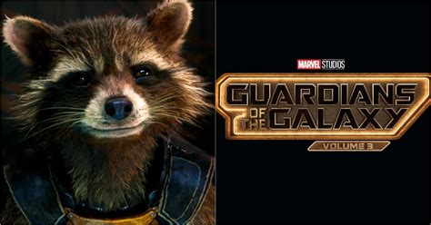 Guardians of the Galaxy Vol. 3 First Footage Teases Baby Rocket Raccoon ...